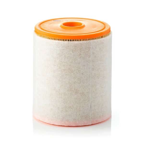 Air Filter Elem, C16005