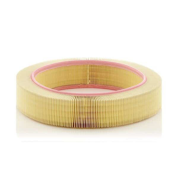 Air Filter Oem, C40174