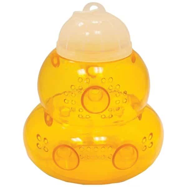 Wasp and Hornet Trap