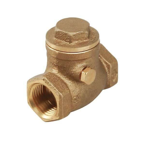 FIP Swing Check Valve, Cast Brass 2-1/2"