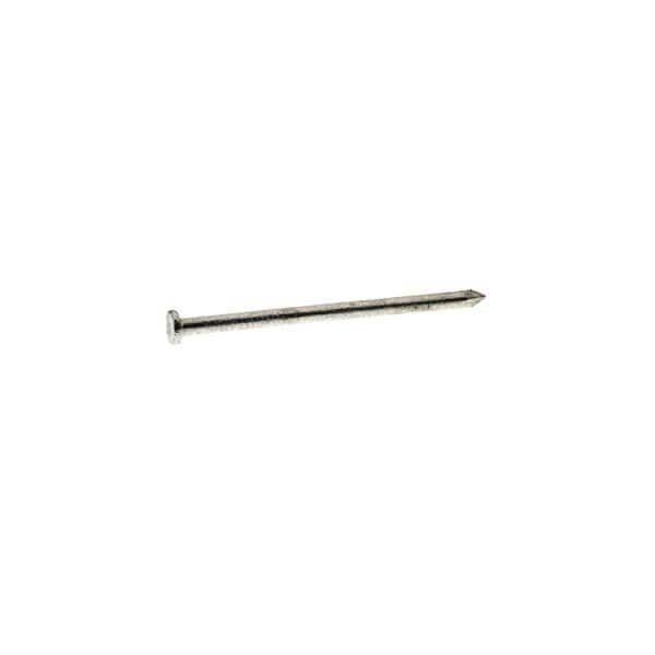 Common Nail, 4 in L, 20D, Steel, Hot Dipped Galvanized Finish