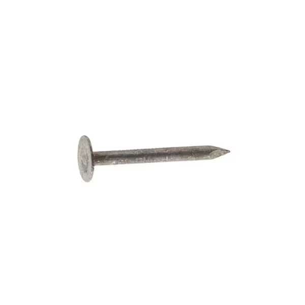 0.75 in. 50 lbs Roofing Electro-Galvanized Steel Round Nail