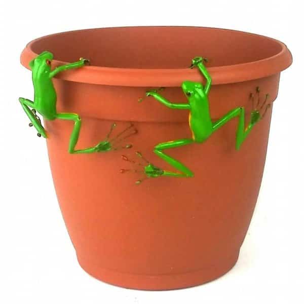 Red Eyed Tree Frog Thin Pot Sitter Hanger, Green