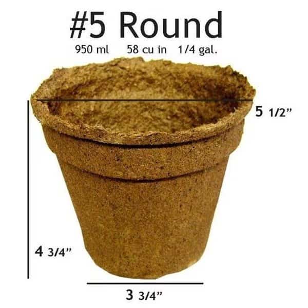 CowPots No 5 Round Pot - 20 pots