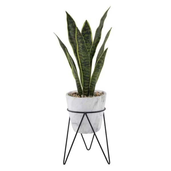 1.75 ft. Snake Plant in Marble on Metal Stand