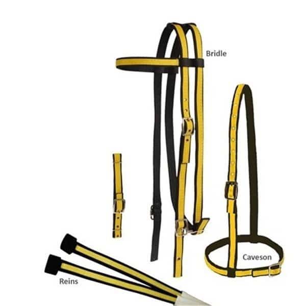 Jacks 453-BK-RY Two Tone Race Bridle Set; Black & Royal