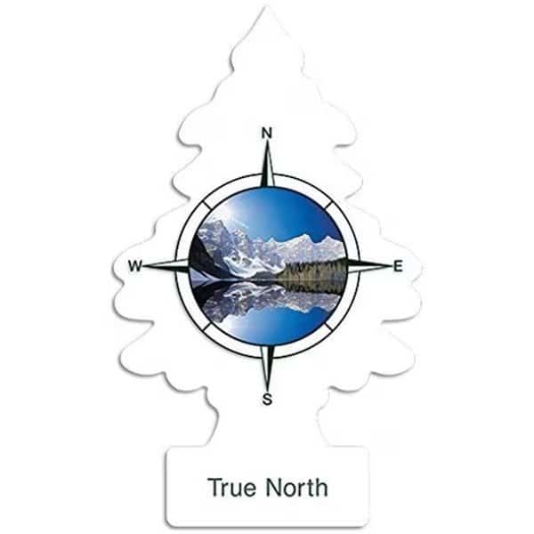 Car Freshner C15-U1P17146 Little Trees Air Fresheners; True North