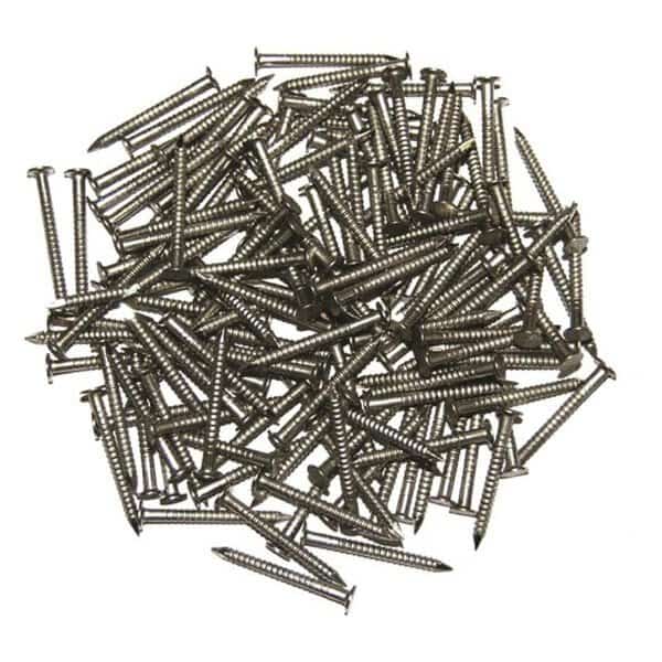 Common Nail, 1-1/4 in L, Stainless Steel