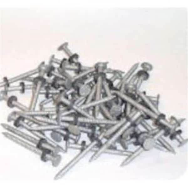 Common Nail, Steel, Galvanized Finish