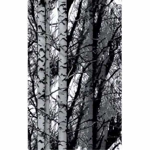 17 x 78 in. Decorative Self Adhesive Film; Birch Woods
