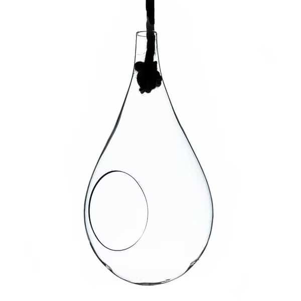 5 in Small Clear Rope Hanging Terrarium  Vase