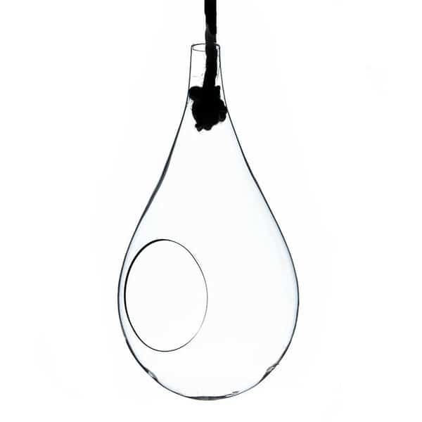 6 in Small Clear Rope Hanging Terrarium  Vase