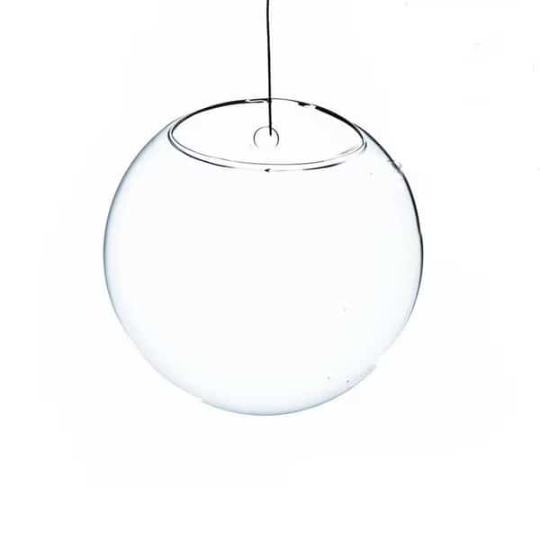6 in Dia Clear HalfRound Wall Hanging Terrarium  Vase