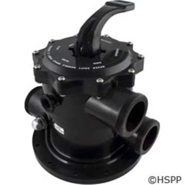 2 in. Tm Multiport Valve F-S602 Filter