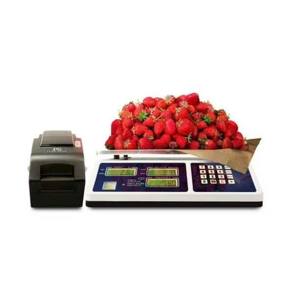CM101-1 Digital Price Computing Scale