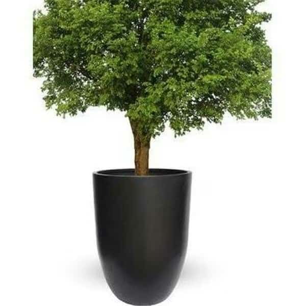 Bell Planter, Matte Black