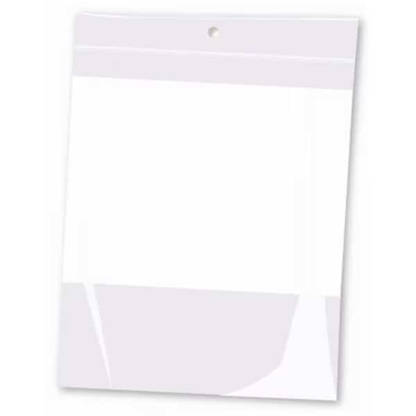 6 x 8 in. 2 Mil Zip Lock Type Plastic Bag with Hang Hole