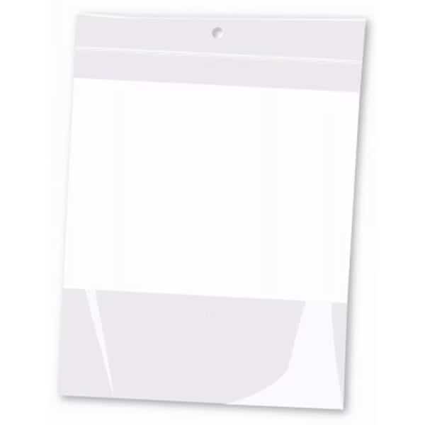 Centurion 246882 6 x 8 in. 2 Mil Zip Lock Type Plastic Bag with Hang Hole