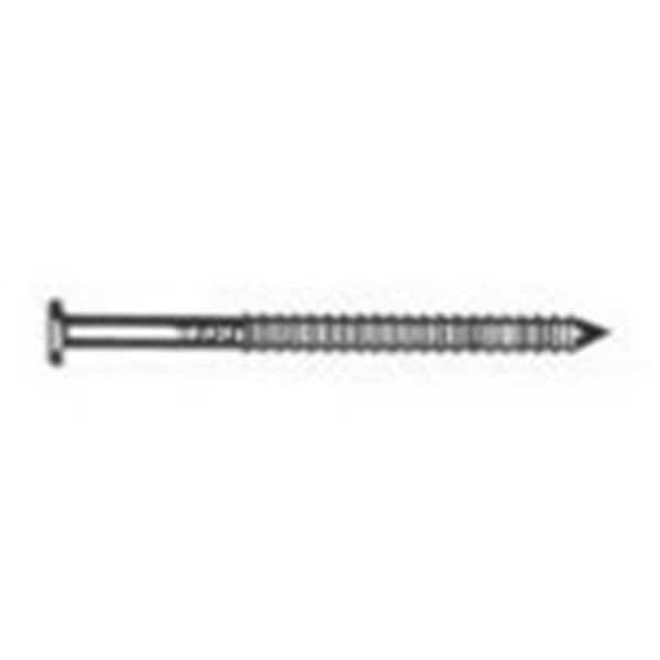 Maze Nails 249873 1.25 in. 1 lbs Stainless Steel Trim Nail; Ring Shank Box; Brown