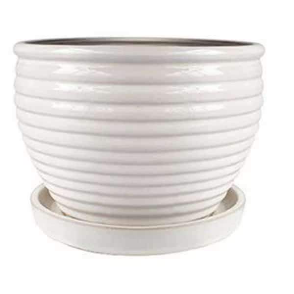 Trendspot 256527 6 in. Honey Planter; Cream White - Pack of 6