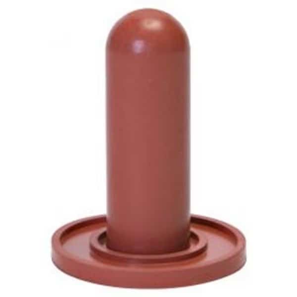 Common Nail, 3 in L, 10D
