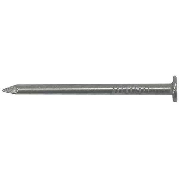 Common Nail, 4 in L, 20D, Bright Finish