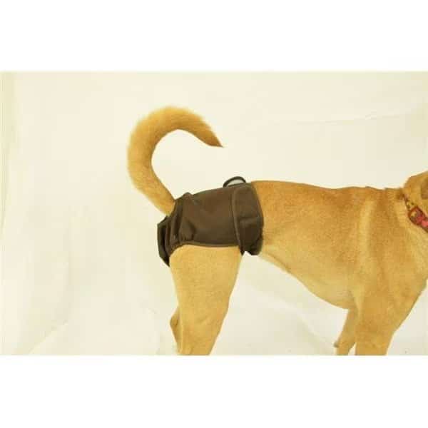 Seasonals 41118BRN Washable Female Dog Diaper; Brown - Fits Queen