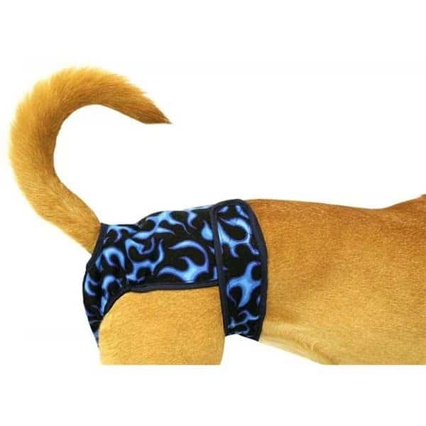 Seasonals 41214BFL Washable Male Dog Belly Band; Blue Flames - Large