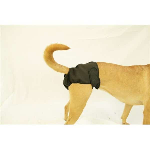 Seasonals 41114BLK Washable Female Dog Diaper; Black - Large