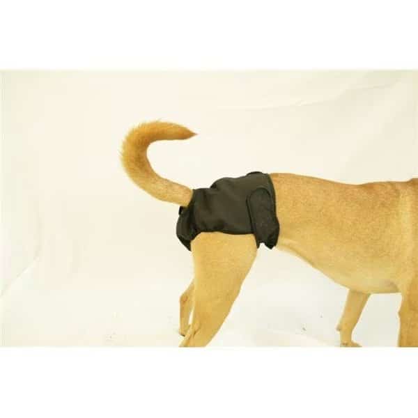 Seasonals 41116BLK Washable Female Dog Diaper; Black - Extra Large