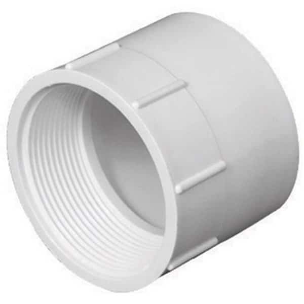 Charlotte Pipe & Foundry PVC001011600HA 6 in. Female Adapter  White