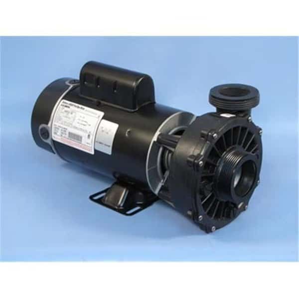 Gecko Alliance 3420610-10 48 Frame 1.5HP 120V Side Discharge 2 Speed Pump