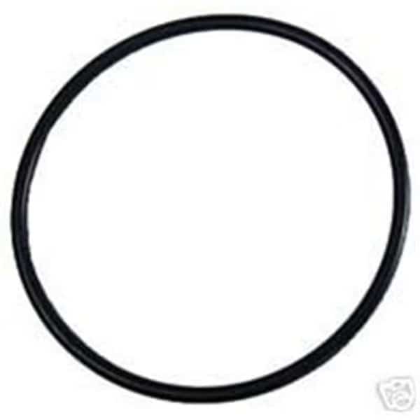 O-Ring Replacement C-Series C-18 Commercial Pool And Spa Pump