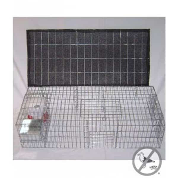 Bird B Gone BMP-SW-SP-SFW Pigeon Trap With Shade, Food & Water Containers, 35 x 16 x 8 in.