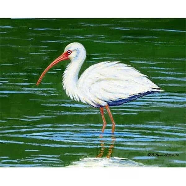 Betsy Drake PM378 Dicks White Ibis Place Mat - Set of 4