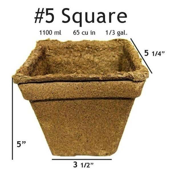 CowPots No 5 Square Pot - 60 pots