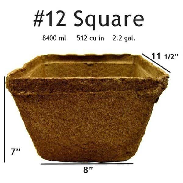 # 12 Square Pot - 40 pots