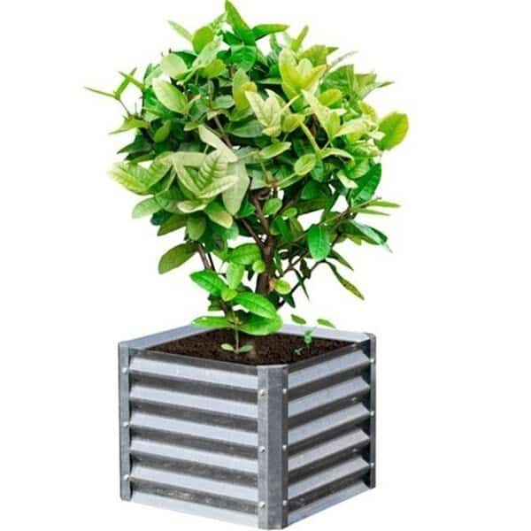 EarthMark MGB-H041 Alto Series 22 x 22 x 17 in. Square Galvanized Metal Planter