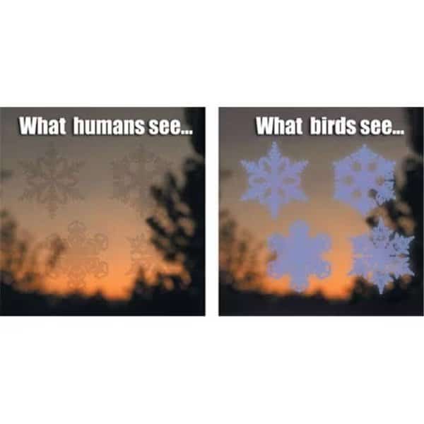 Window Alert WINDA7 Snowflake Window Decal and Deterrent for Birds