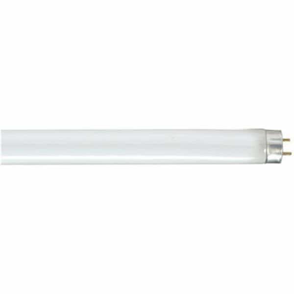 Satco Linear Fluorescent Lamp - 32W- 4100K