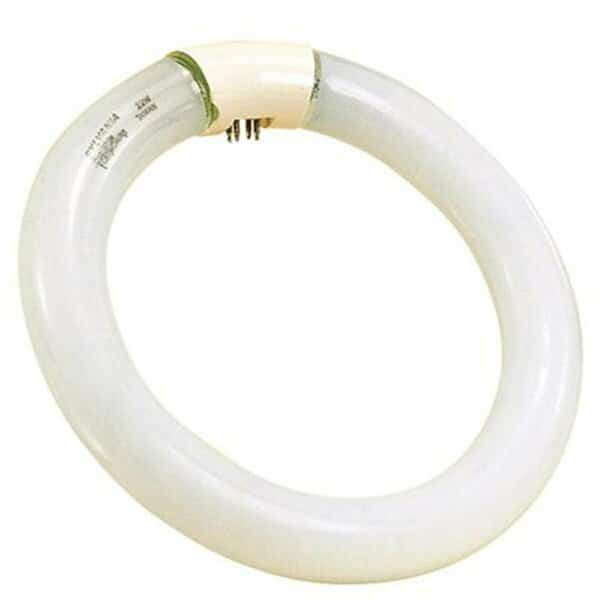 Satco Compact Fluorescent Lamp T9 Circline- 4100K