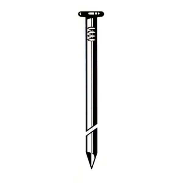 Common Nail, 10 in L, 140D