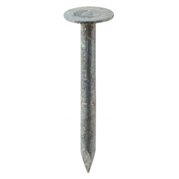 1.25 in. Electro Galvanized Roofing Nails 50 Lb Pk