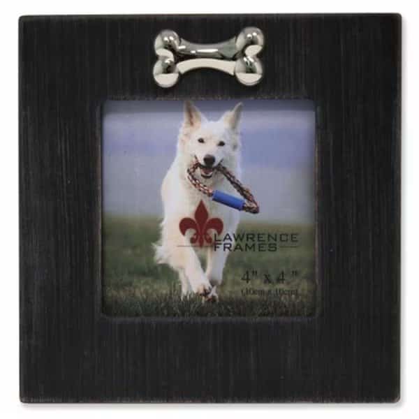 Wash Dog Frame With Bone Ornament - Black, 1.0 in.