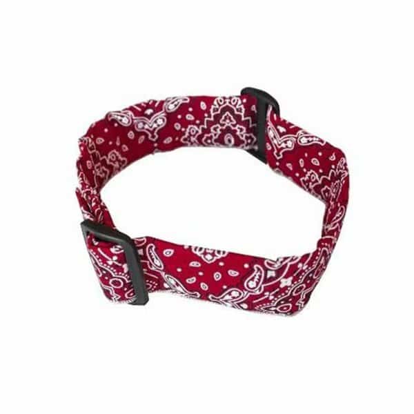 Cool Collar