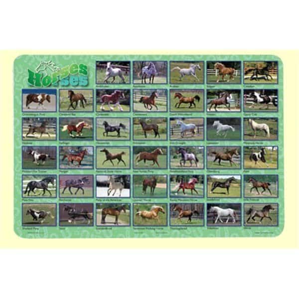 Horses Placemat 4PK, Painless Learning, Mfr#: HOR1