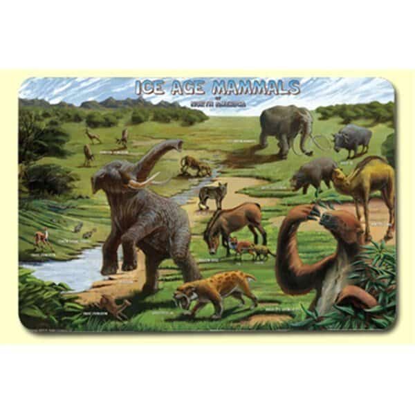 Ice Age Placemat 4PK