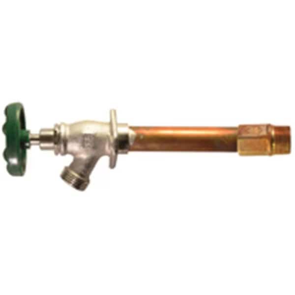 45610BCLD Frost Free Hydrant 10 In