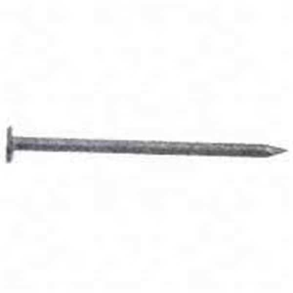 Common Nail, 2 in L, Hot Dipped Galvanized Finish