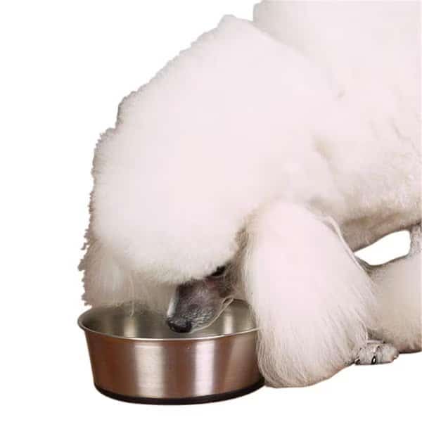 Stainless Steel Bowl with Rubber Base 9oz